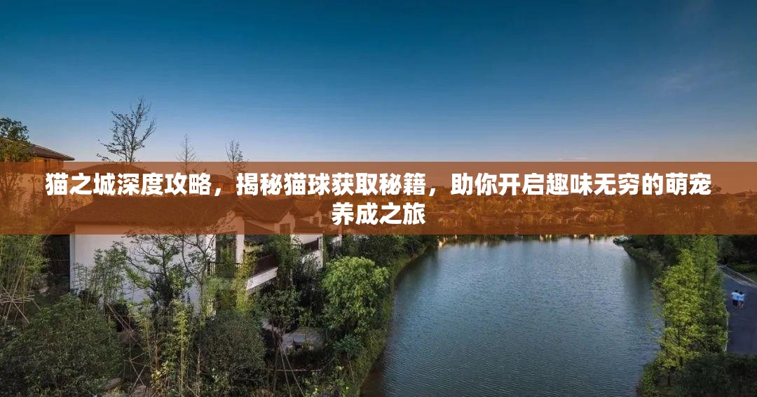 貓之城深度攻略，揭秘貓球獲取秘籍，助你開啟趣味無窮的萌寵養(yǎng)成之旅