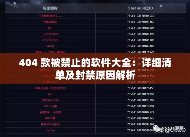404 款被禁止的軟件大全：詳細(xì)清單及封禁原因解析