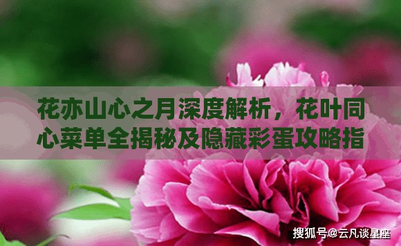 花亦山心之月深度解析，花葉同心菜單全揭秘及隱藏彩蛋攻略指南