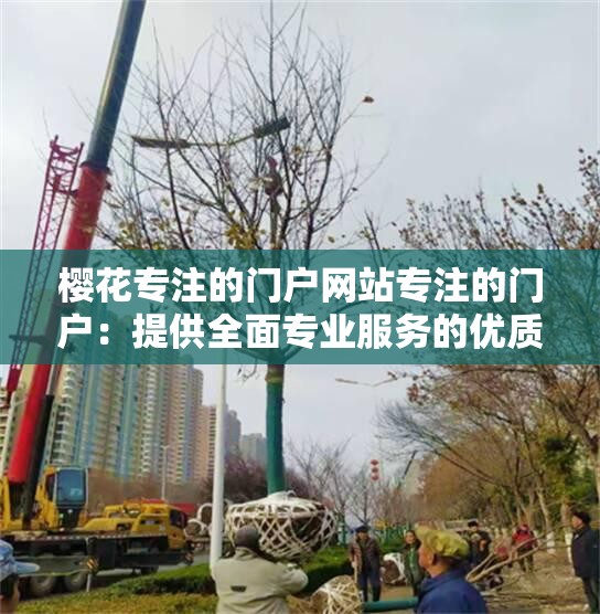 櫻花專注的門戶網(wǎng)站專注的門戶：提供全面專業(yè)服務(wù)的優(yōu)質(zhì)平臺(tái)