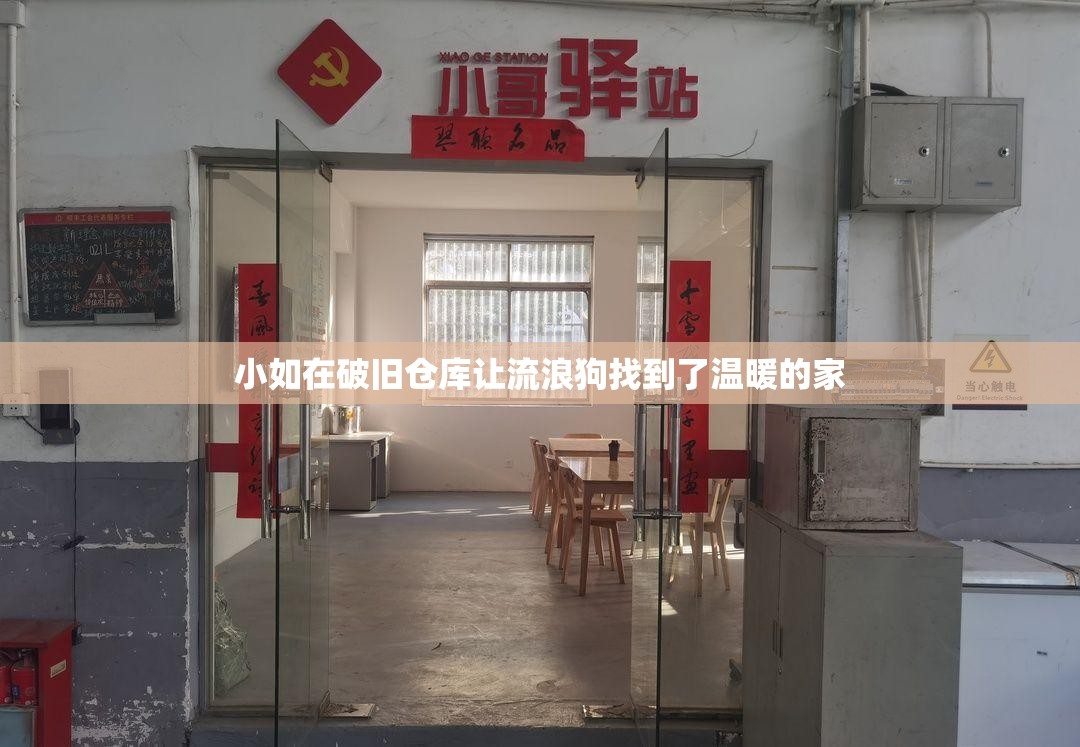 小如在破舊倉庫讓流浪狗找到了溫暖的家