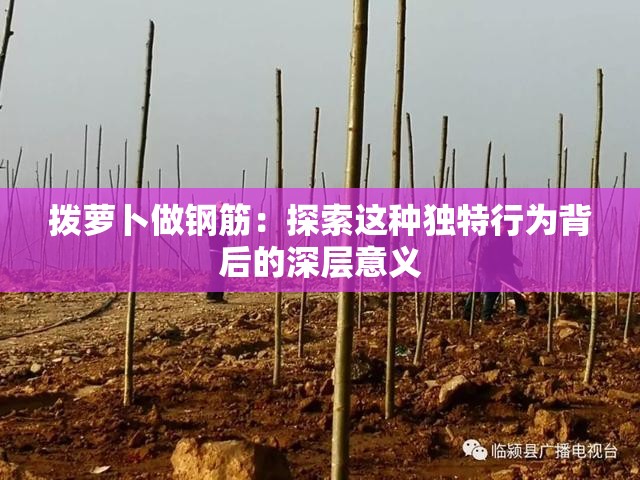 撥蘿卜做鋼筋：探索這種獨(dú)特行為背后的深層意義