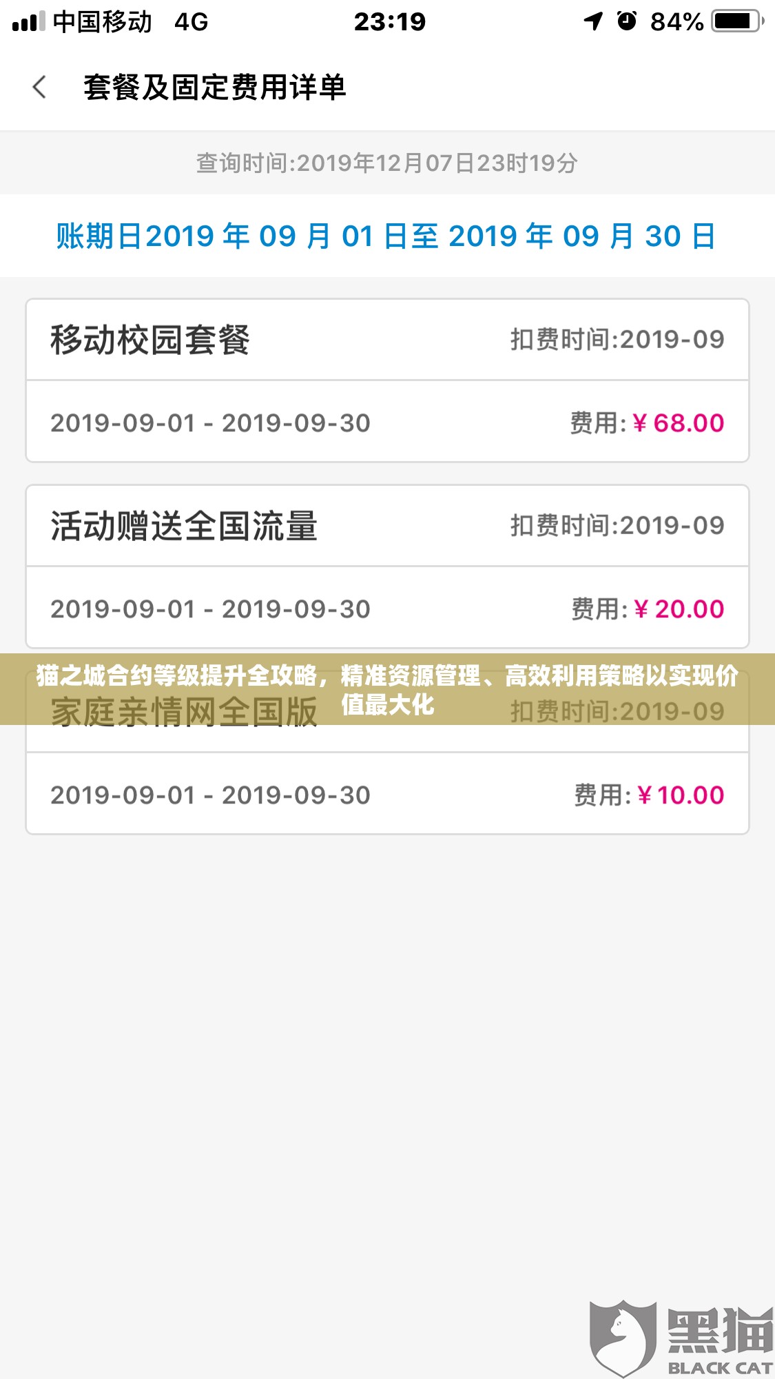 貓之城合約等級(jí)提升全攻略，精準(zhǔn)資源管理、高效利用策略以實(shí)現(xiàn)價(jià)值最大化