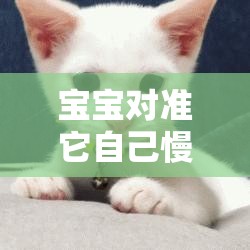 寶寶對(duì)準(zhǔn)它自己慢慢動(dòng)：探索寶寶獨(dú)特行為背后的奧秘