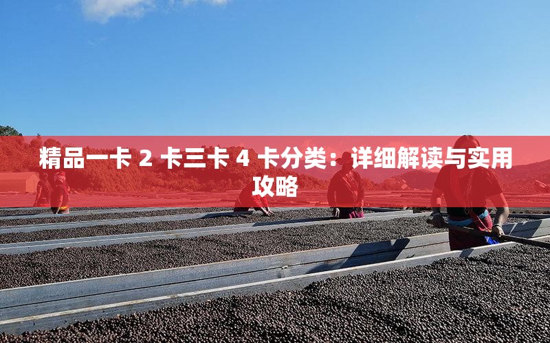 精品一卡 2 卡三卡 4 卡分類：詳細(xì)解讀與實(shí)用攻略