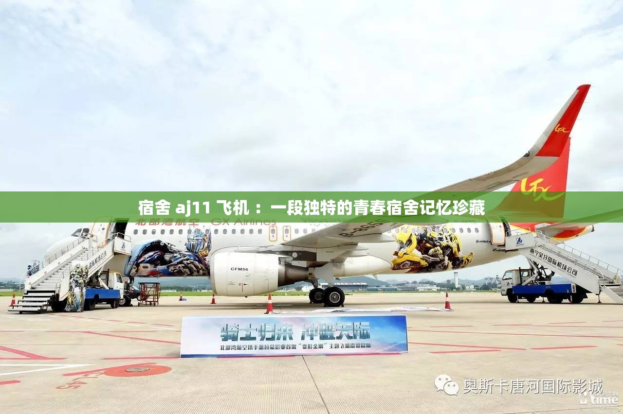 宿舍 aj11 飛機(jī) ：一段獨(dú)特的青春宿舍記憶珍藏