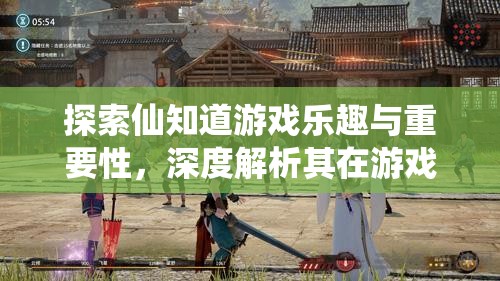 探索仙知道游戲樂趣與重要性，深度解析其在游戲資源管理中的應(yīng)用
