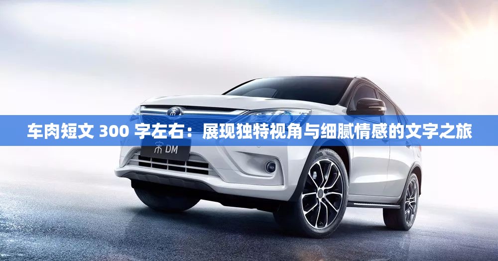 車肉短文 300 字左右：展現(xiàn)獨特視角與細膩情感的文字之旅
