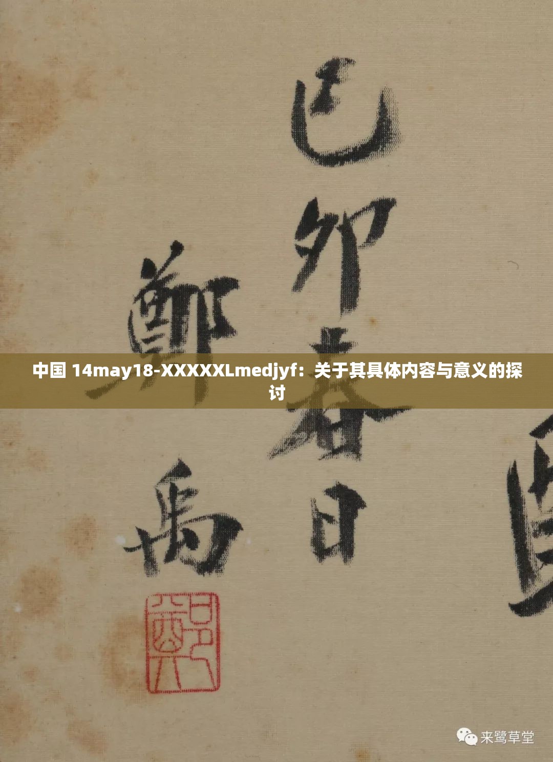 中國 14may18-XXXXXLmedjyf：關(guān)于其具體內(nèi)容與意義的探討