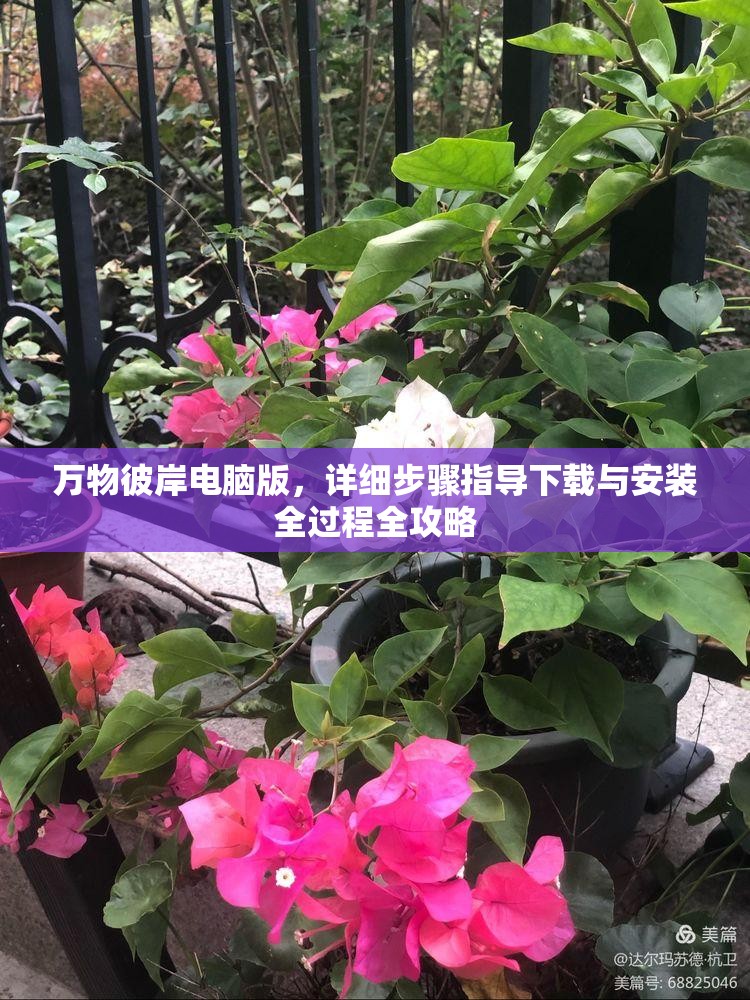 萬物彼岸電腦版，詳細(xì)步驟指導(dǎo)下載與安裝全過程全攻略