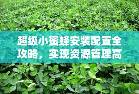 超級(jí)小蜜蜂安裝配置全攻略，實(shí)現(xiàn)資源管理高效利用，有效避免資源浪費(fèi)