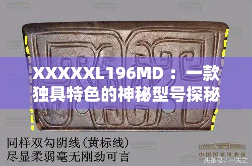 XXXXXL196MD ：一款獨具特色的神秘型號探秘