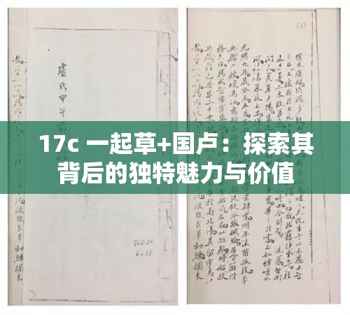 17c 一起草+國盧：探索其背后的獨(dú)特魅力與價(jià)值