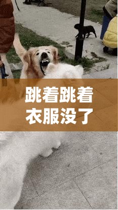 跳著跳著衣服沒了：一場意外引發(fā)的尷尬事件