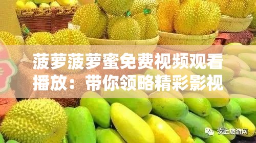 菠蘿菠蘿蜜免費視頻觀看播放：帶你領(lǐng)略精彩影視世界