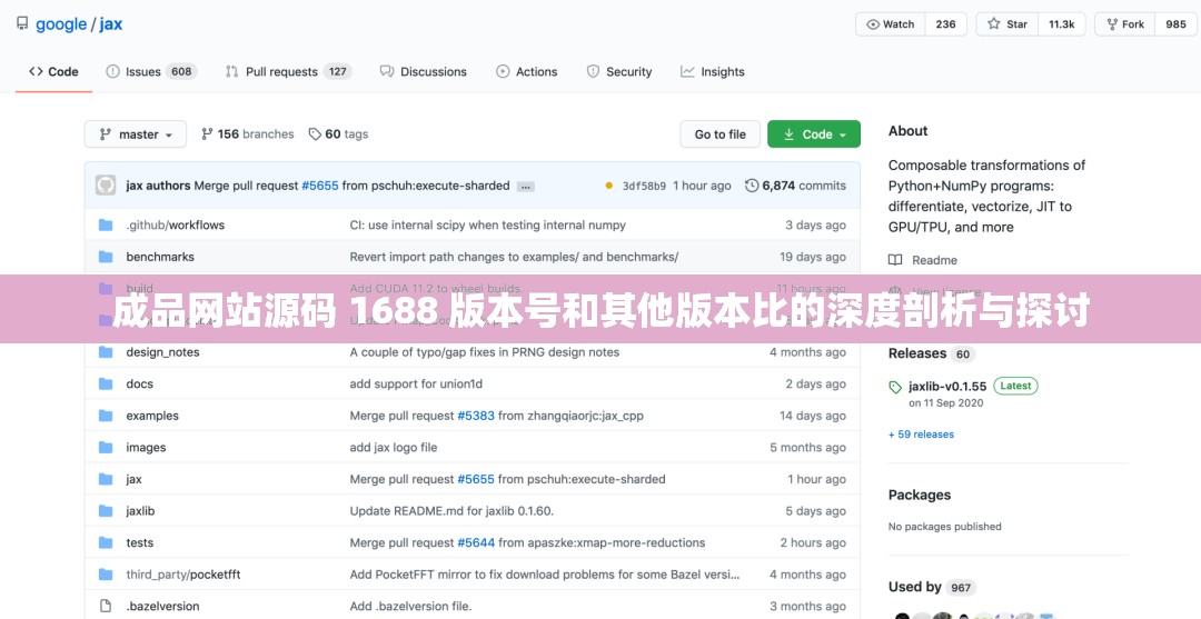 成品網(wǎng)站源碼 1688 版本號和其他版本比的深度剖析與探討