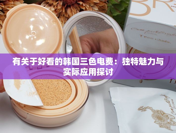 有關于好看的韓國三色電費：獨特魅力與實際應用探討