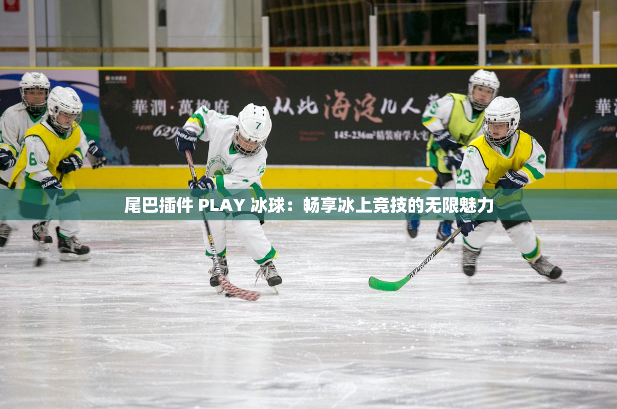 尾巴插件 PLAY 冰球：暢享冰上競(jìng)技的無限魅力