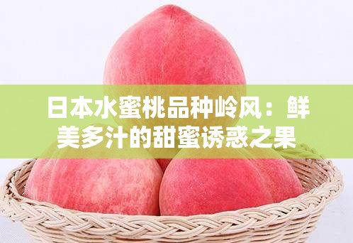 日本水蜜桃品種嶺風：鮮美多汁的甜蜜誘惑之果