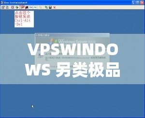 VPSWINDOWS 另類極品有超多線路可選：帶來獨特體驗