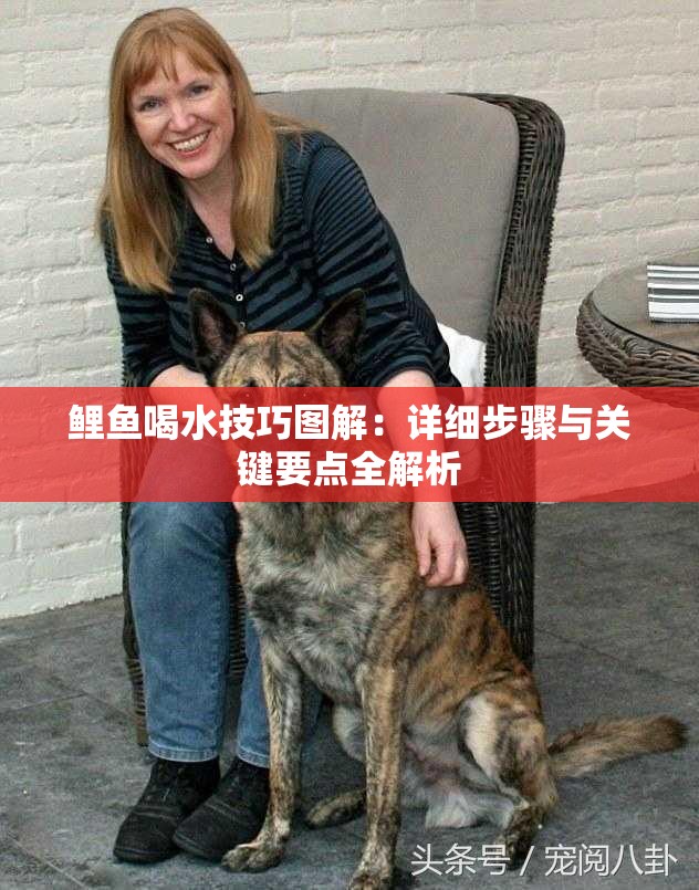 鯉魚喝水技巧圖解：詳細(xì)步驟與關(guān)鍵要點(diǎn)全解析