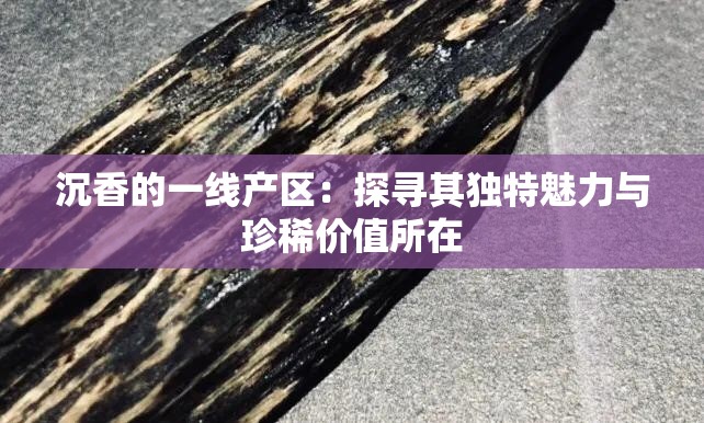 沉香的一線產(chǎn)區(qū)：探尋其獨(dú)特魅力與珍稀價(jià)值所在