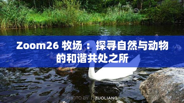 Zoom26 牧場(chǎng) ：探尋自然與動(dòng)物的和諧共處之所