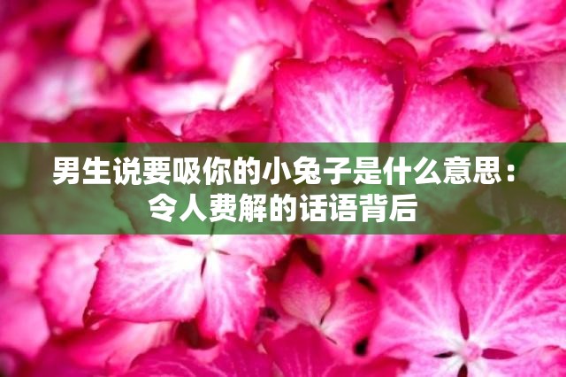 男生說要吸你的小兔子是什么意思：令人費解的話語背后