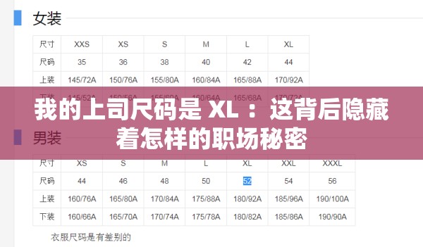 我的上司尺碼是 XL ：這背后隱藏著怎樣的職場秘密