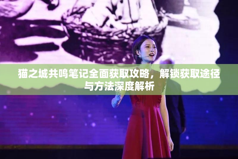 貓之城共鳴筆記全面獲取攻略，解鎖獲取途徑與方法深度解析