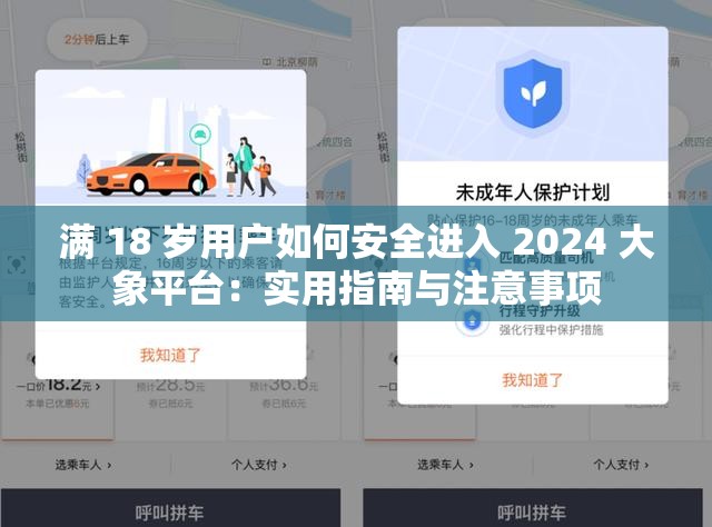 滿 18 歲用戶如何安全進入 2024 大象平臺：實用指南與注意事項