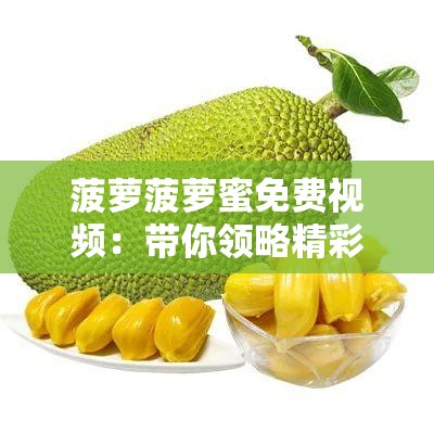 菠蘿菠蘿蜜免費視頻：帶你領(lǐng)略精彩絕倫的視覺盛宴