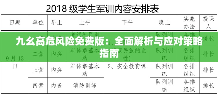 九幺高危風(fēng)險(xiǎn)免費(fèi)版：全面解析與應(yīng)對策略指南