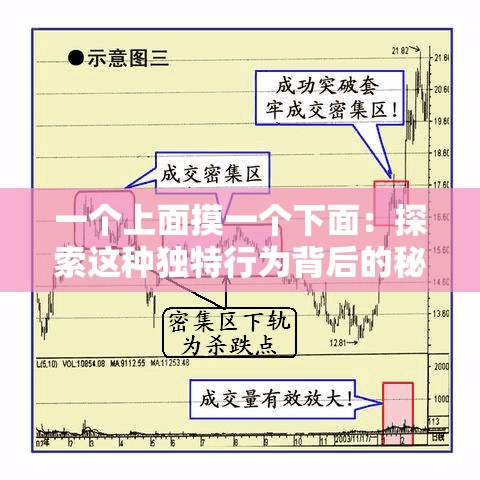 一個上面摸一個下面：探索這種獨(dú)特行為背后的秘密