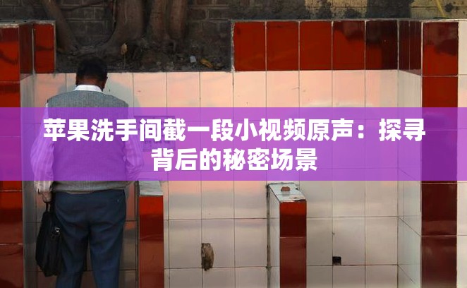 蘋果洗手間截一段小視頻原聲：探尋背后的秘密場(chǎng)景