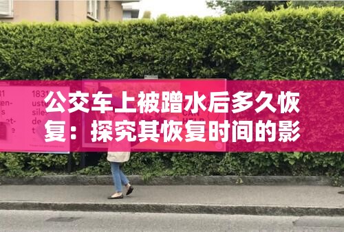公交車上被蹭水后多久恢復：探究其恢復時間的影響因素