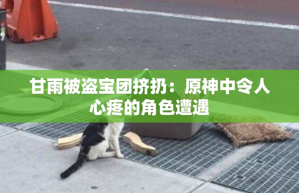 甘雨被盜寶團(tuán)擠扔：原神中令人心疼的角色遭遇