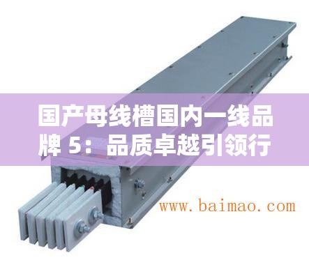 國(guó)產(chǎn)母線槽國(guó)內(nèi)一線品牌 5：品質(zhì)卓越引領(lǐng)行業(yè)新潮流