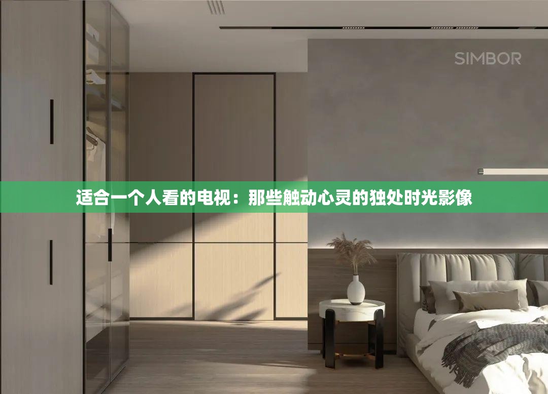 適合一個(gè)人看的電視：那些觸動(dòng)心靈的獨(dú)處時(shí)光影像