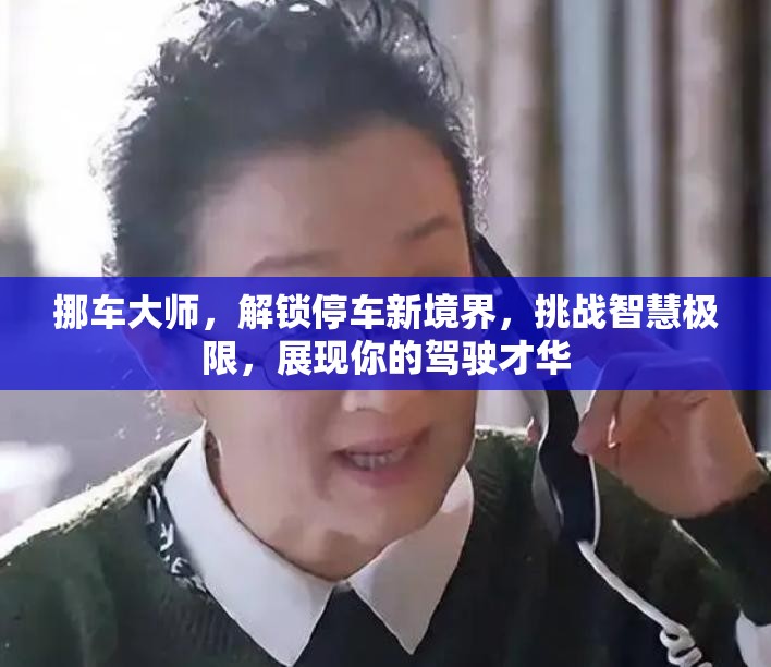 挪車大師，解鎖停車新境界，挑戰(zhàn)智慧極限，展現(xiàn)你的駕駛才華