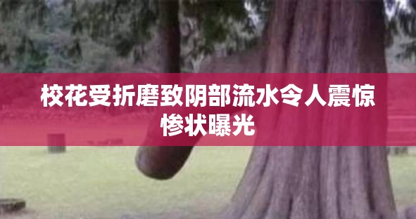 校花受折磨致陰部流水令人震驚慘狀曝光