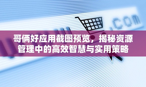 哥倆好應(yīng)用截圖預(yù)覽，揭秘資源管理中的高效智慧與實用策略