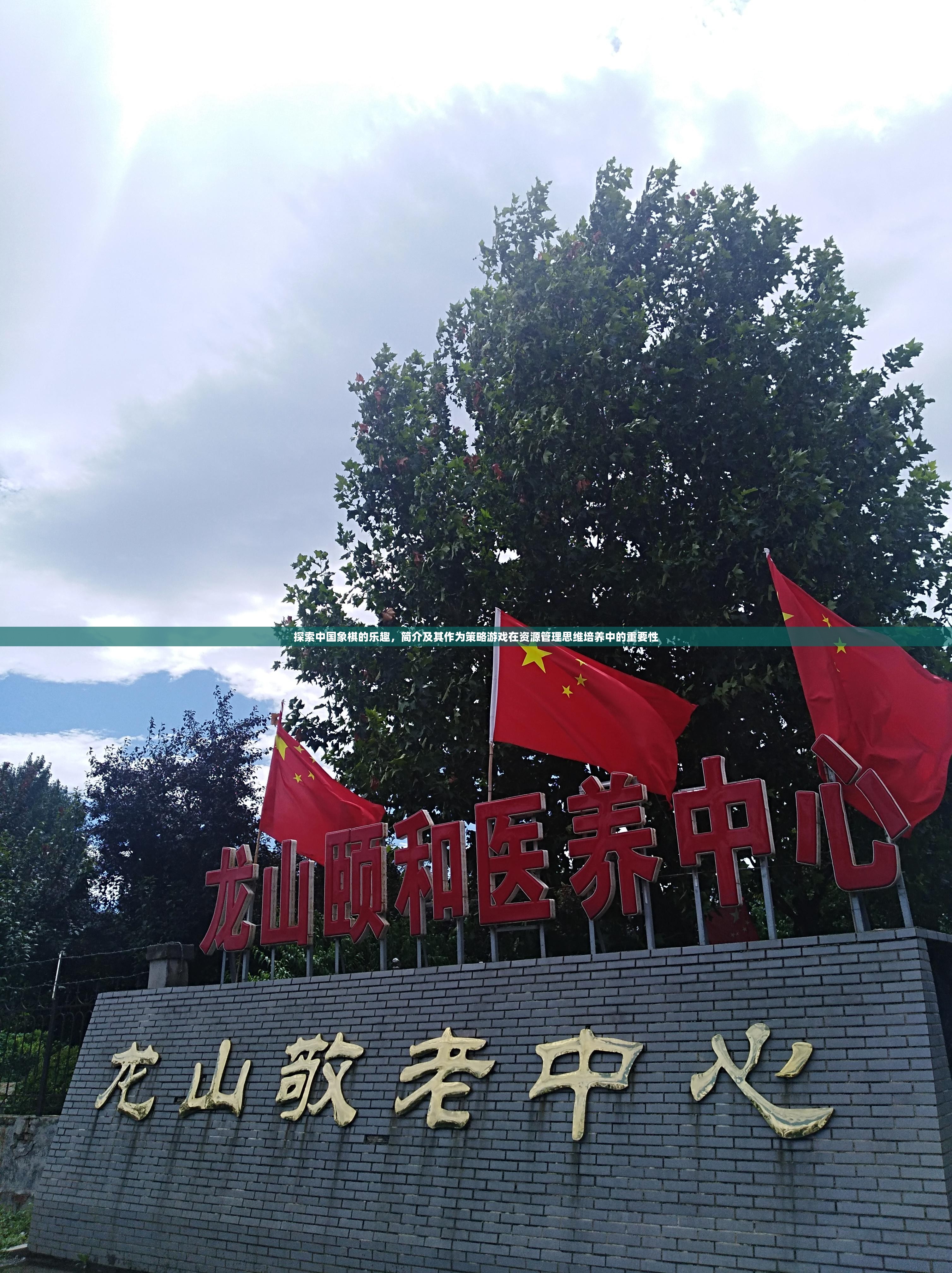 探索中國(guó)象棋的樂(lè)趣，簡(jiǎn)介及其作為策略游戲在資源管理思維培養(yǎng)中的重要性