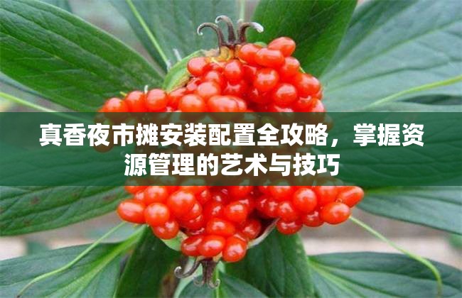 真香夜市攤安裝配置全攻略，掌握資源管理的藝術(shù)與技巧