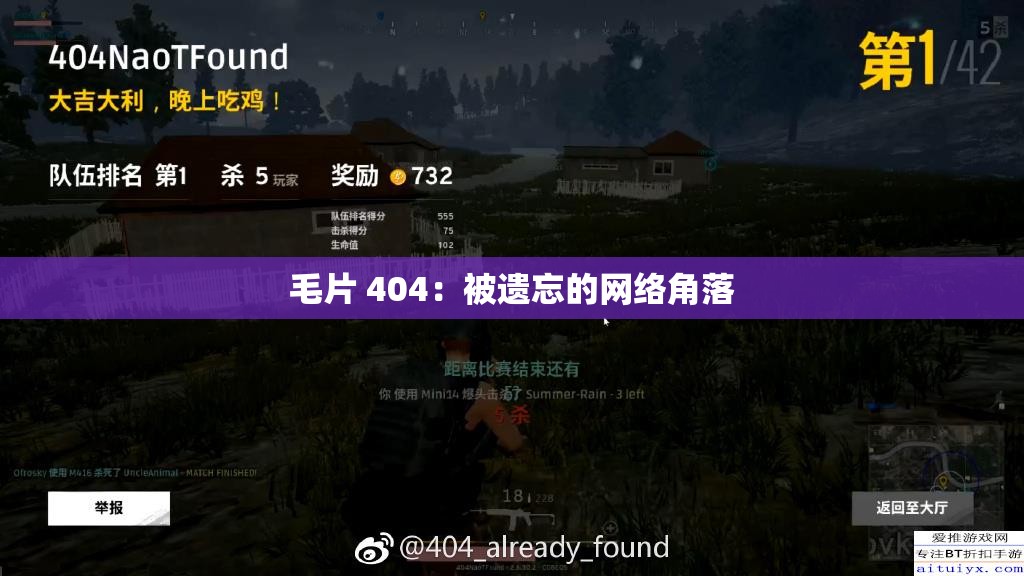 毛片 404：被遺忘的網(wǎng)絡(luò)角落