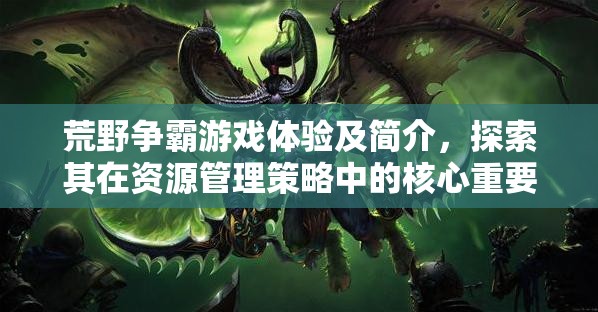 荒野爭霸游戲體驗(yàn)及簡介，探索其在資源管理策略中的核心重要性