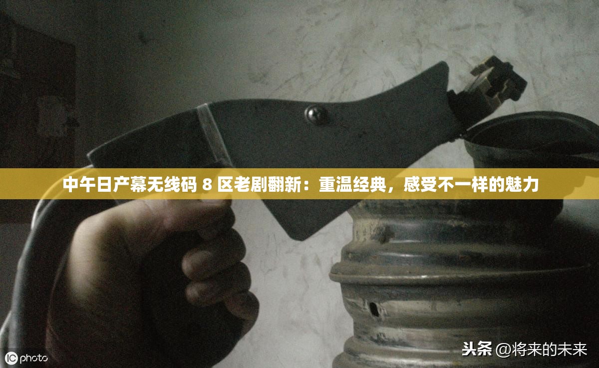 中午日產(chǎn)幕無線碼 8 區(qū)老劇翻新：重溫經(jīng)典，感受不一樣的魅力