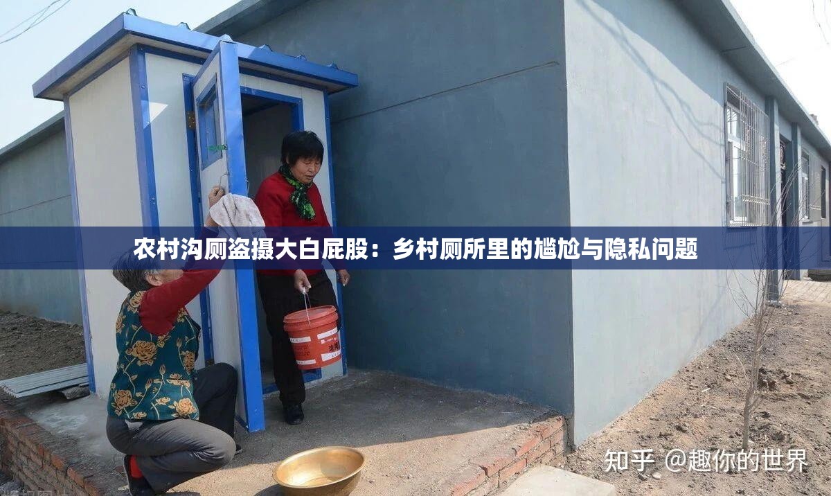 農(nóng)村溝廁盜攝大白屁股：鄉(xiāng)村廁所里的尷尬與隱私問題