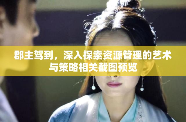郡主駕到，深入探索資源管理的藝術(shù)與策略相關(guān)截圖預(yù)覽