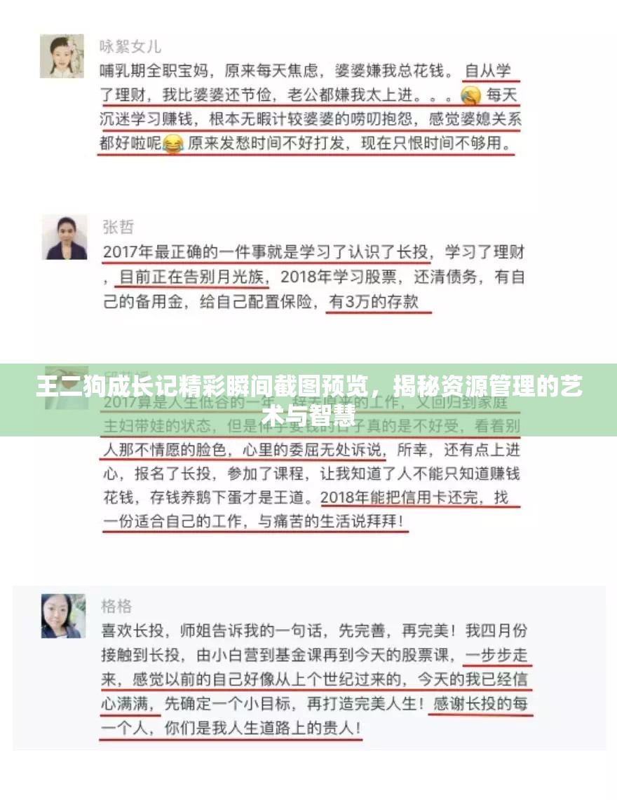 王二狗成長(zhǎng)記精彩瞬間截圖預(yù)覽，揭秘資源管理的藝術(shù)與智慧